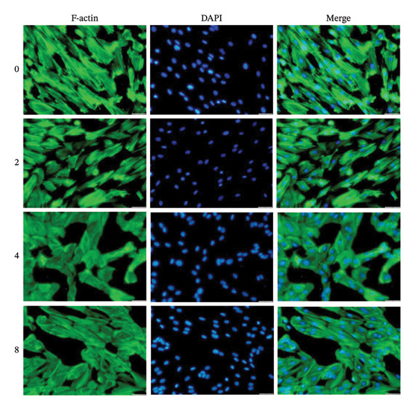 Figure 18