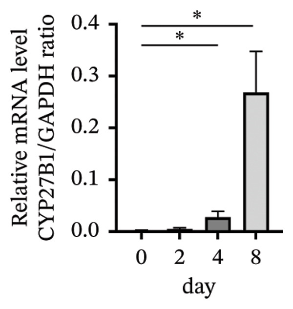 Figure 22