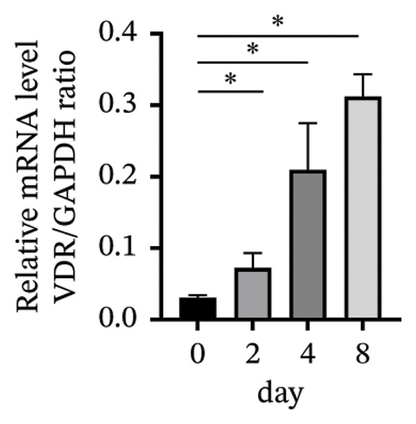 Figure 24