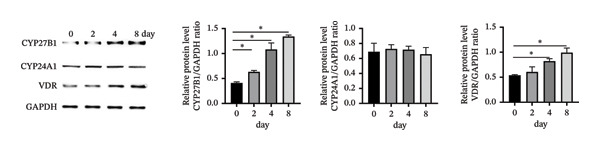 Figure 25