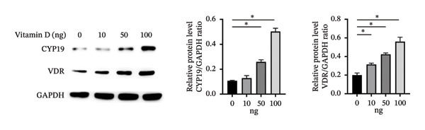 Figure 27