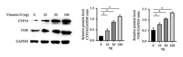Figure 29