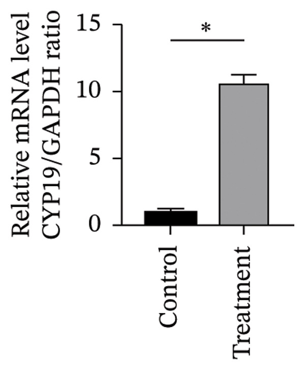 Figure 38