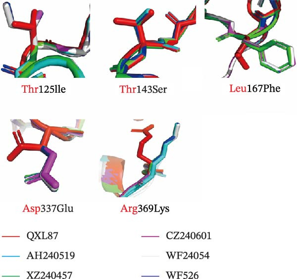 Figure 11