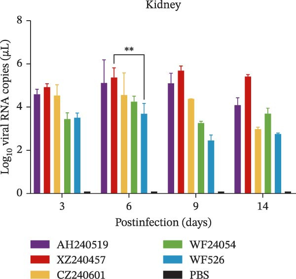Figure 16