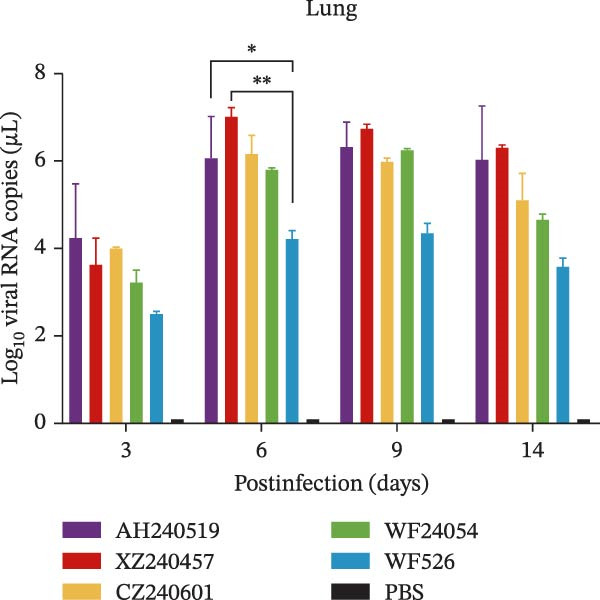 Figure 17