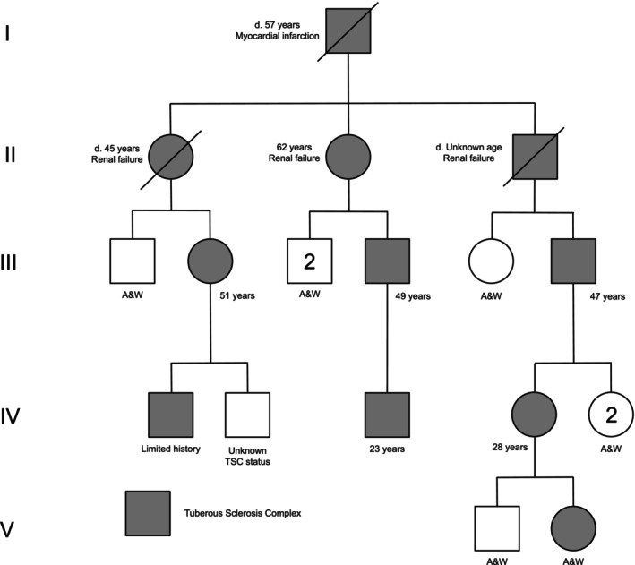 FIGURE 1