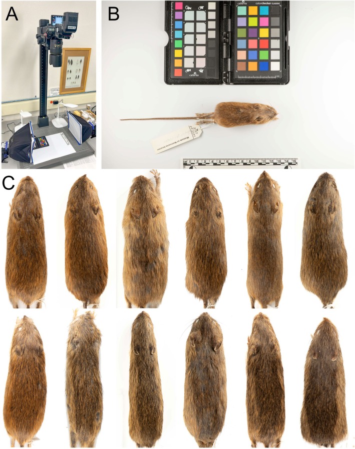 FIGURE 3