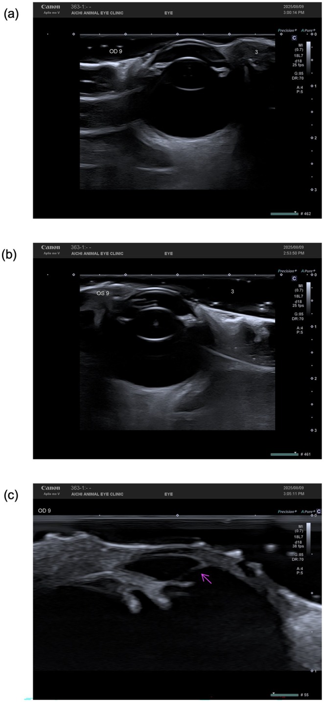 FIGURE 2