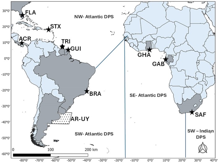 FIGURE 1