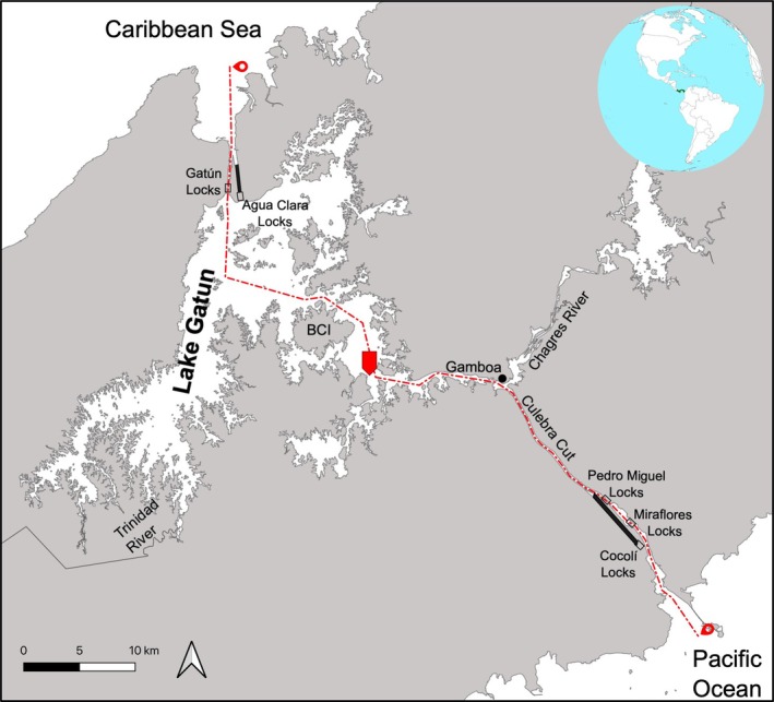 FIGURE 1