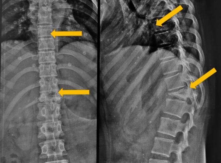 FIGURE 1