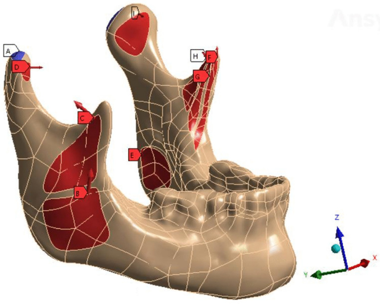 Fig 2