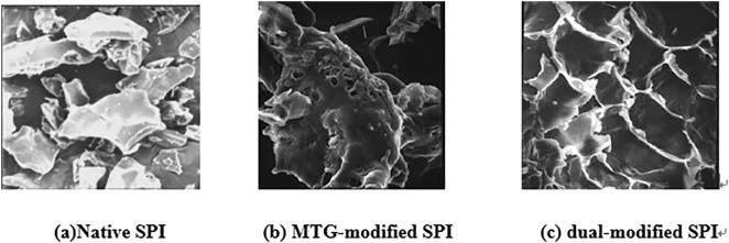 Fig 7