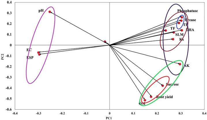 Fig 5
