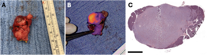 Fig 3
