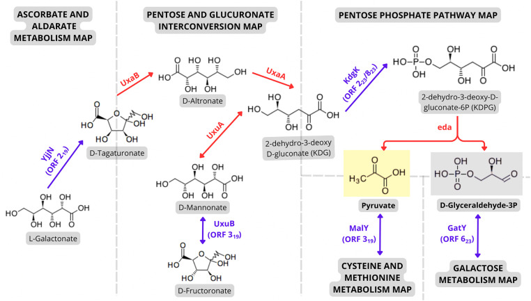 Fig 4