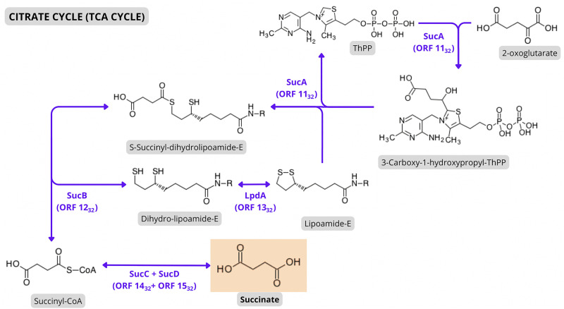 Fig 5