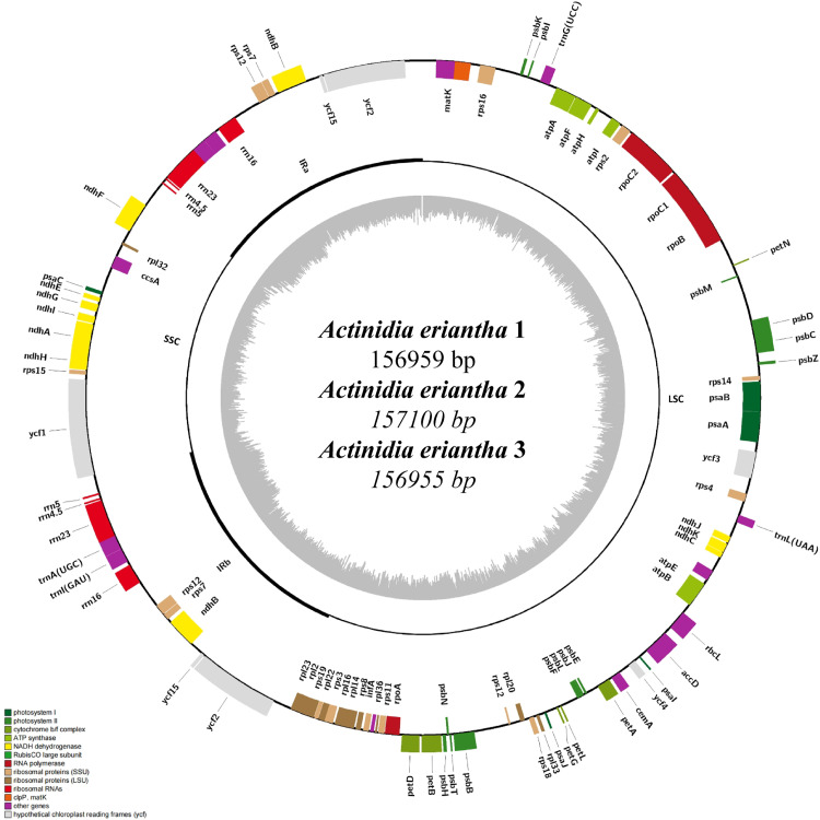 Fig 2