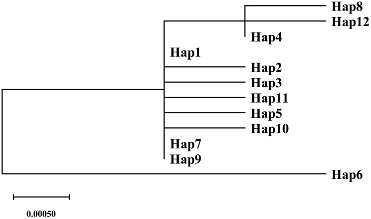 Fig 6
