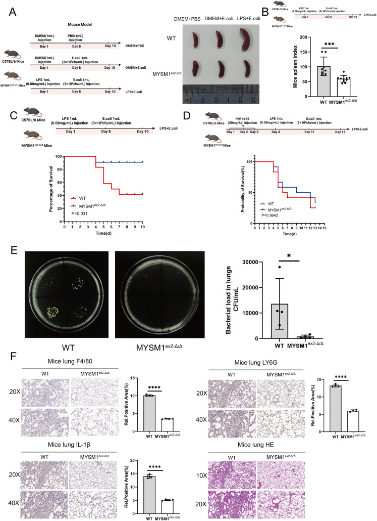 Fig 6