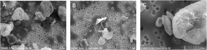 FIGURE 1
