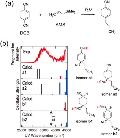 FIGURE 12