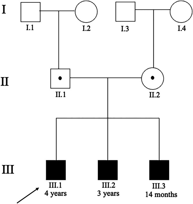 FIGURE 1