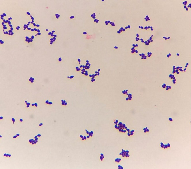 FIGURE 2
