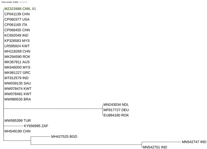 FIGURE 3