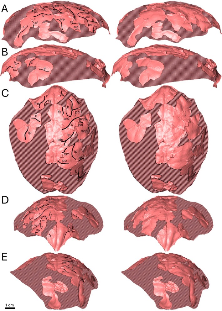 FIGURE 2