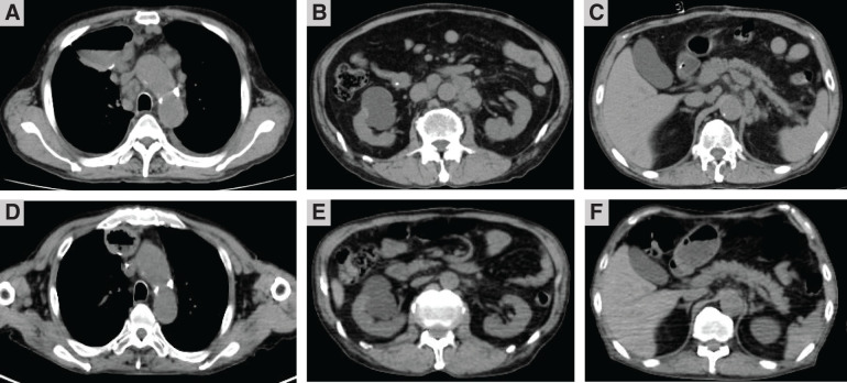 Fig. 7