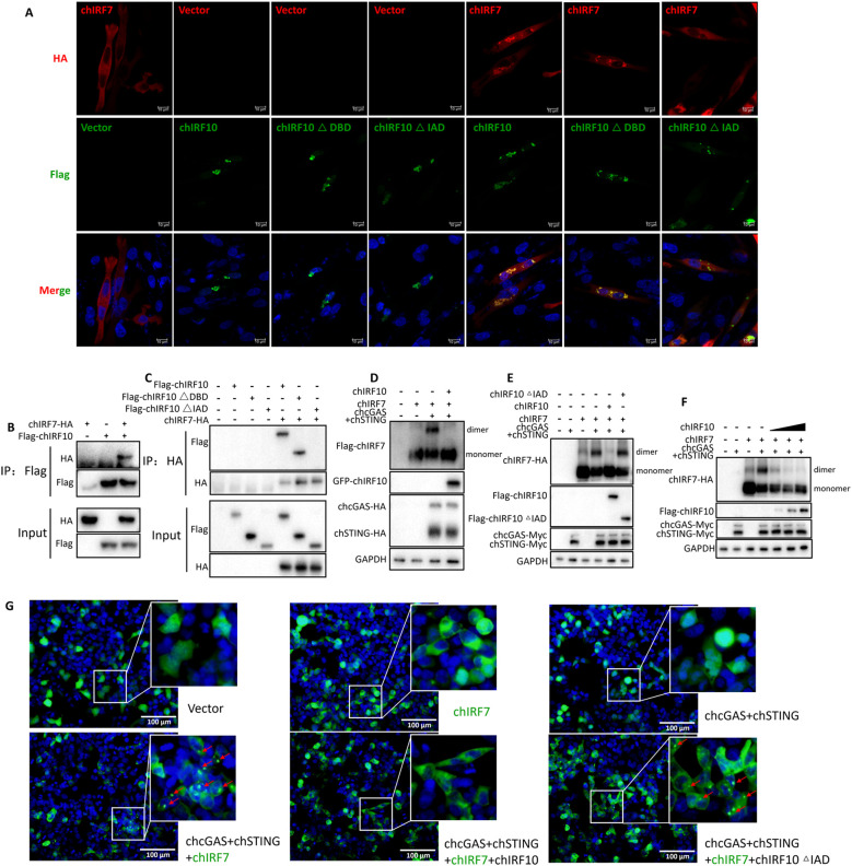 Figure 6