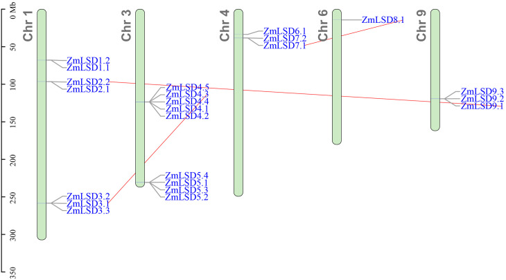 Figure 3