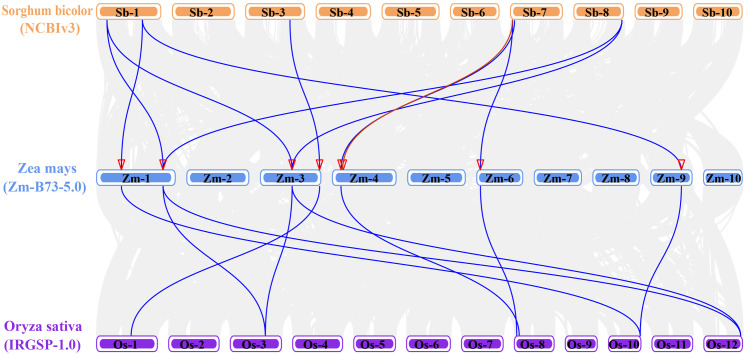 Figure 4