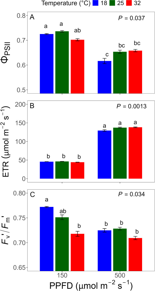 Figure 3