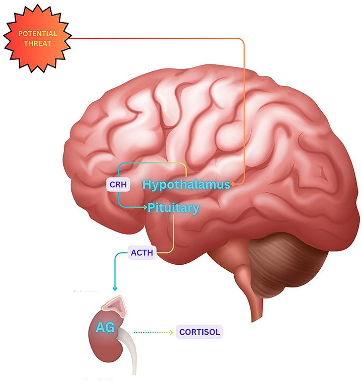 Figure 2