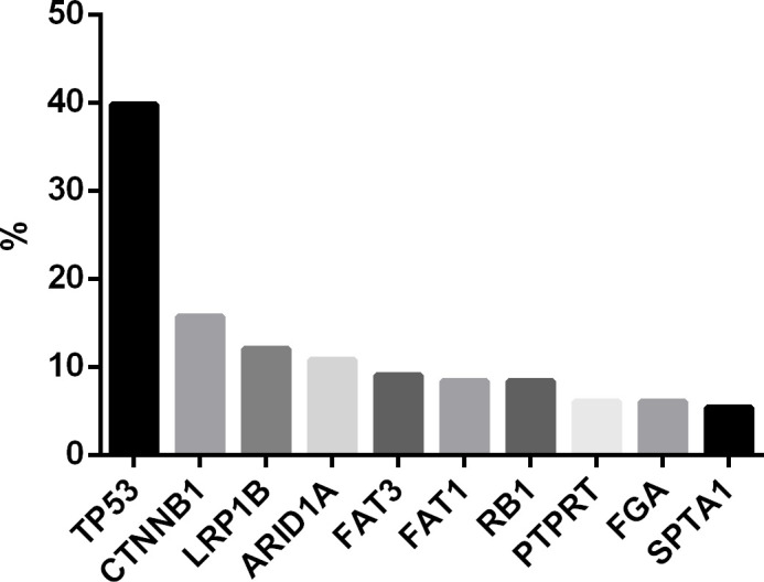 Figure 1