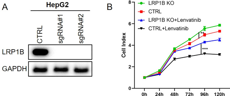 Figure 3