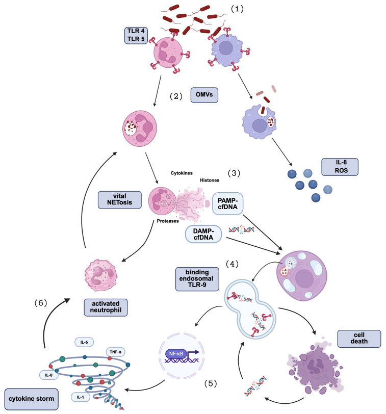 Figure 1