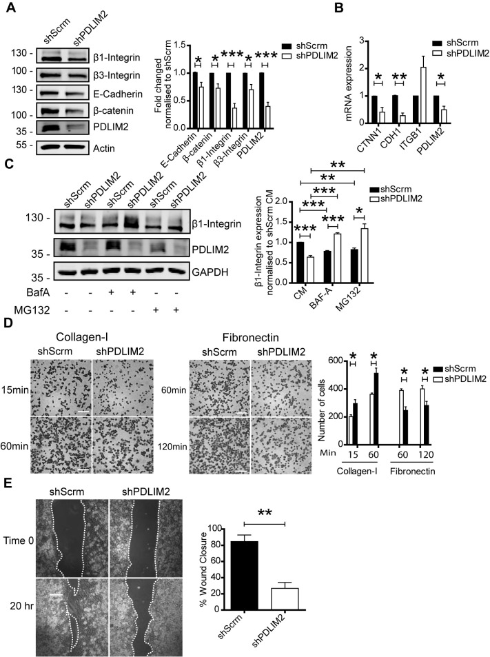 Figure 5