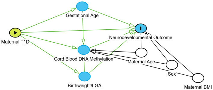 Figure 1