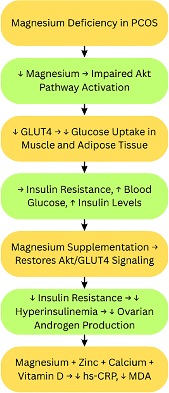 Figure 5