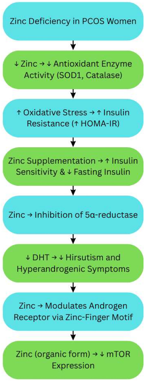 Figure 6