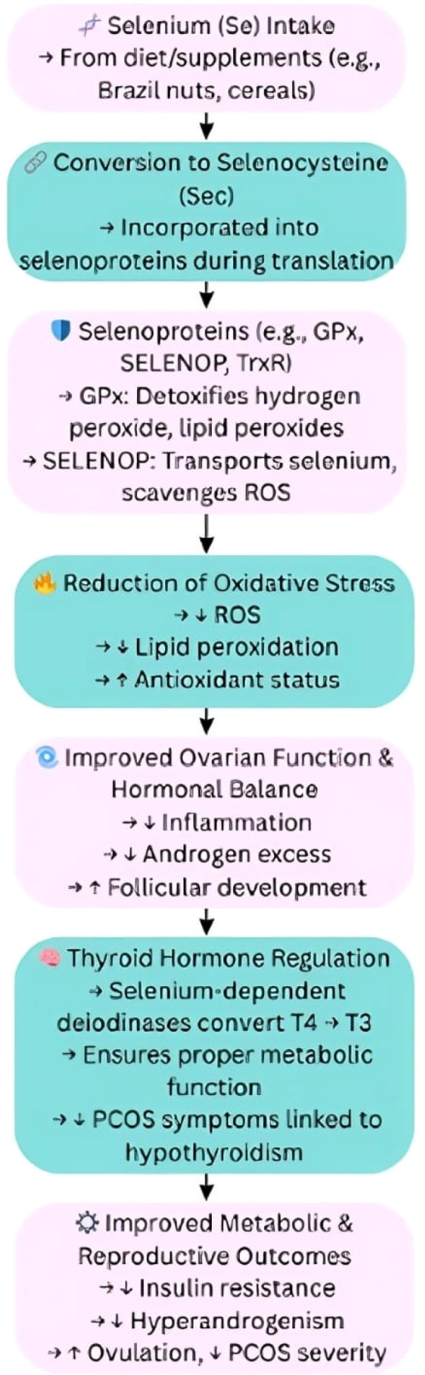 Figure 7