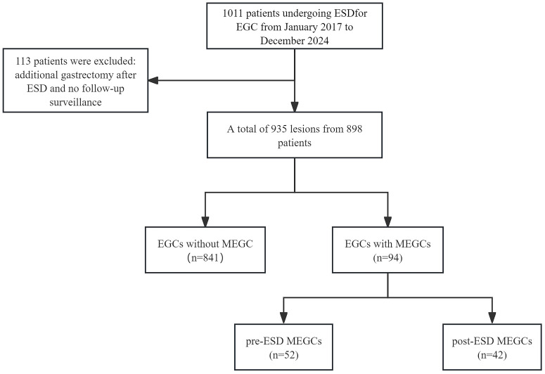 Figure 1