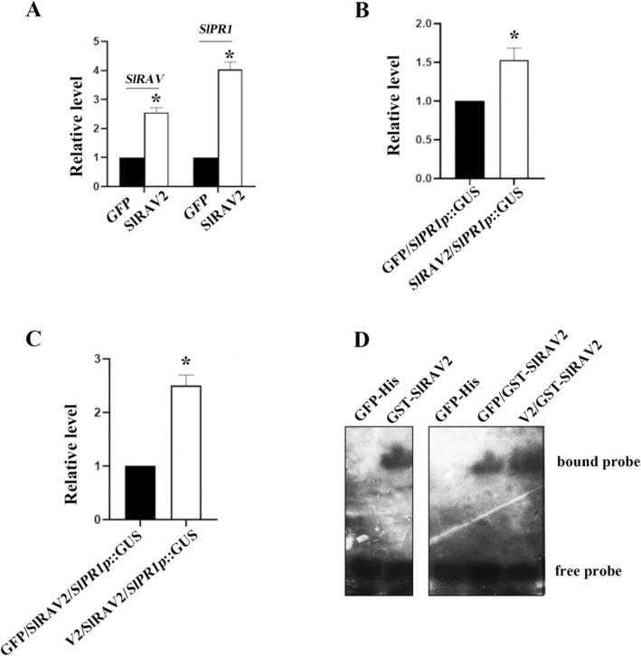 FIGURE 4