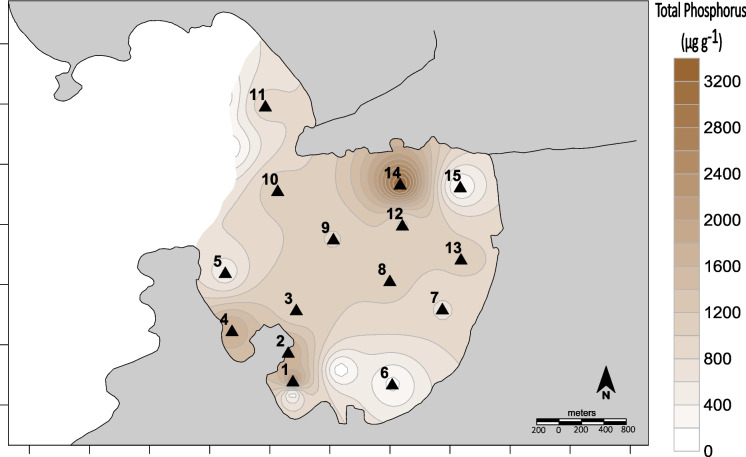 Figure 8