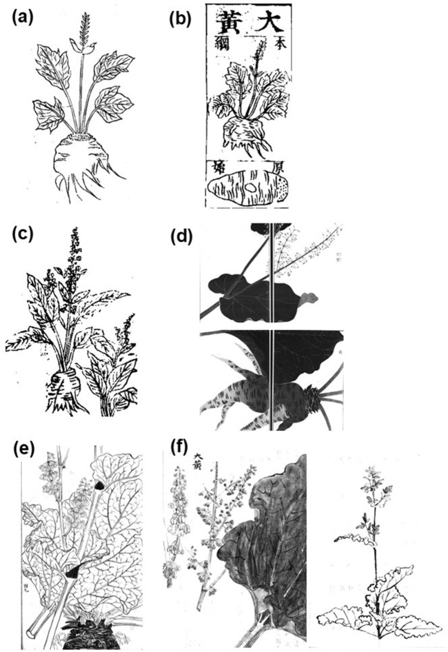 FIGURE 1