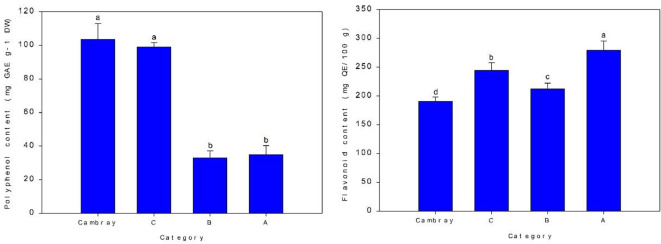 Figure 6